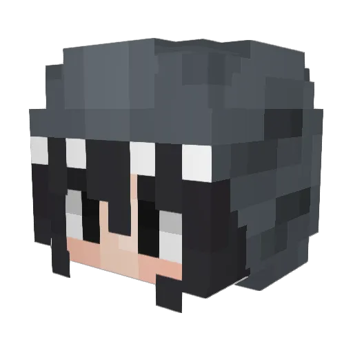 NaviiNavii Minecraft avatar head, 3D render