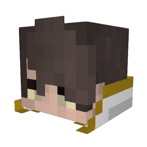 Naviigato Minecraft avatar head, 3D render