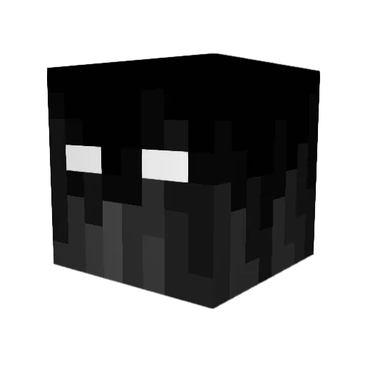 NavinVishal Minecraft avatar head, 3D render