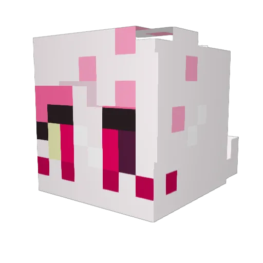 Navonod273 Minecraft avatar head, 3D render