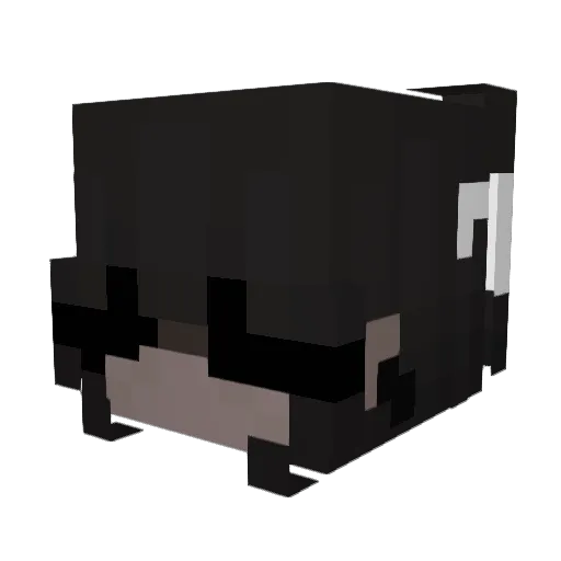 NavyOmnivore935 Minecraft avatar head, 3D render