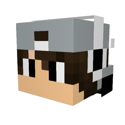 NavyOne Minecraft avatar head, 3D render