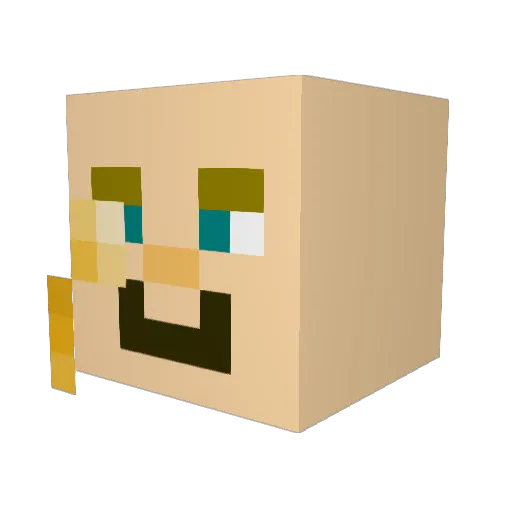 Navyjay Minecraft avatar head, 3D render