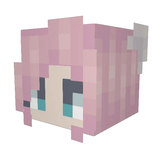 Nawek_ Minecraft avatar head, 3D render