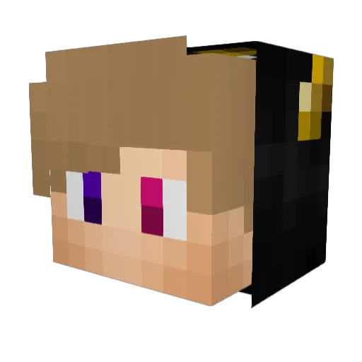 Nawien Minecraft avatar head, 3D render