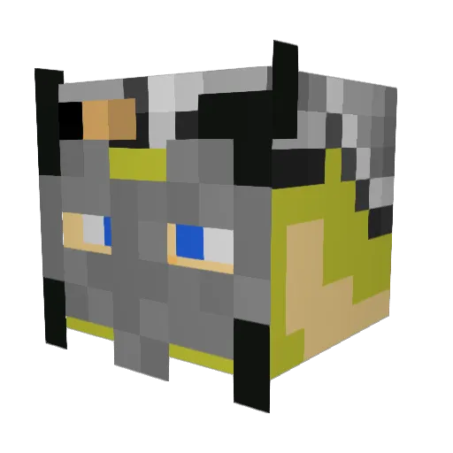 Naxetor Minecraft avatar head, 3D render