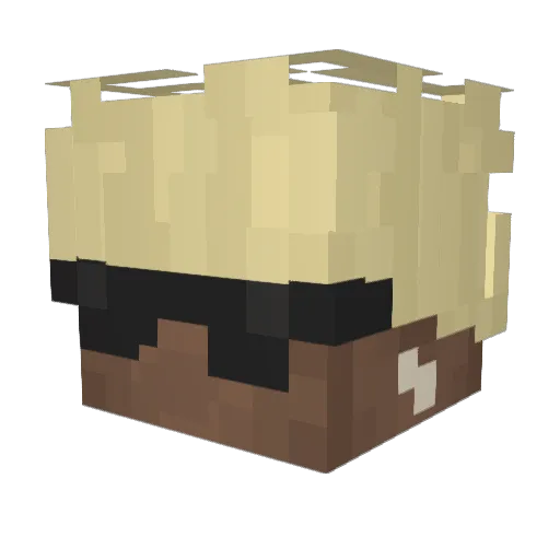 Naxsoft Minecraft avatar head, 3D render