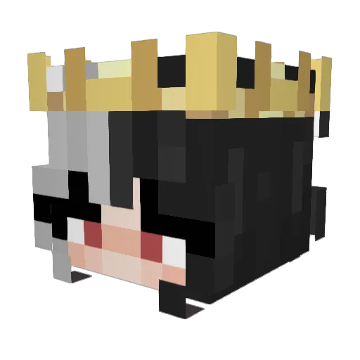 Naxzyy Minecraft avatar head, 3D render