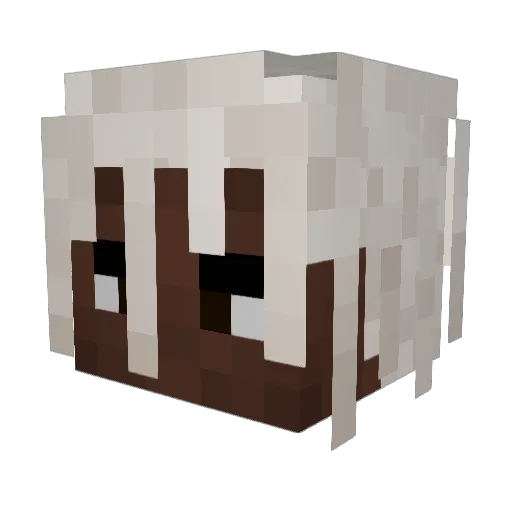 NayGu Minecraft avatar head, 3D render