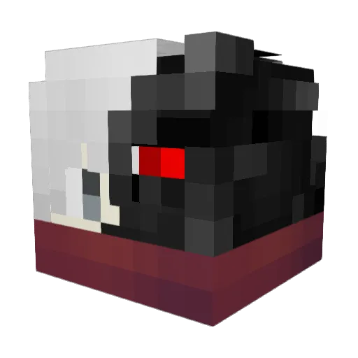 NayanSG Minecraft avatar head, 3D render