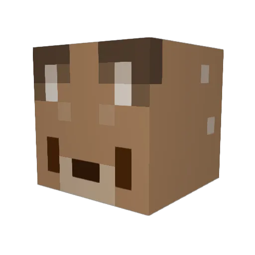 Nayarecus Minecraft avatar head, 3D render