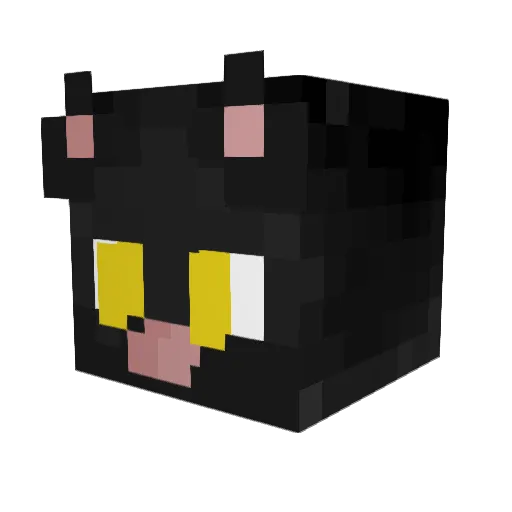 Naydernn Minecraft avatar head, 3D render