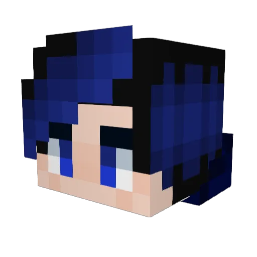 NayfDQ Minecraft avatar head, 3D render