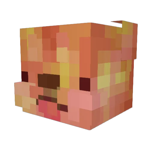 Nayl4 Minecraft avatar head, 3D render