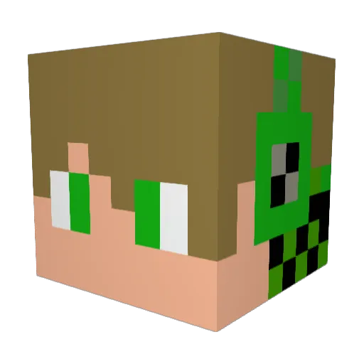 Nayllio Minecraft avatar head, 3D render