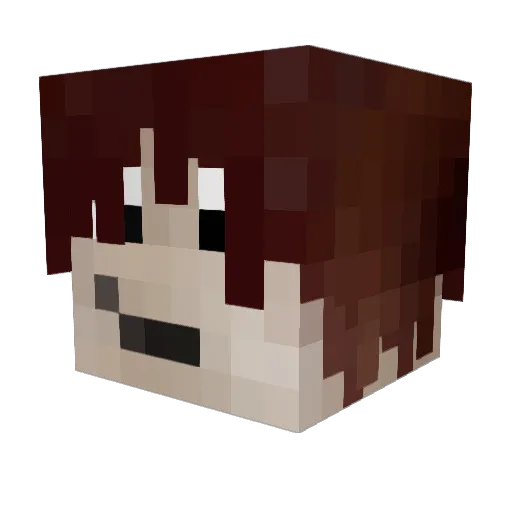 Naylu__ Minecraft avatar head, 3D render