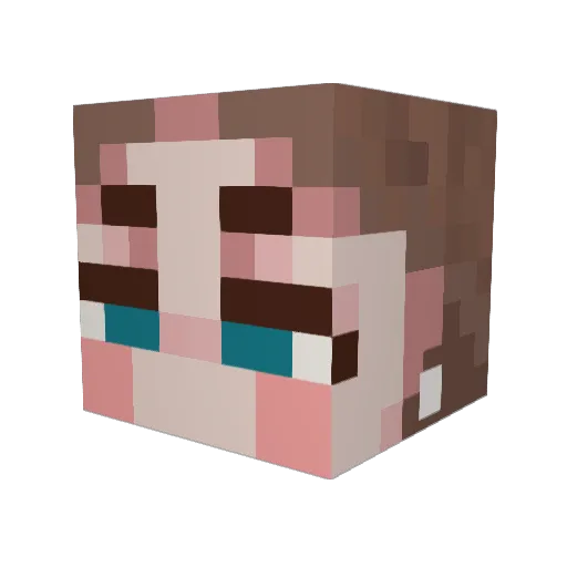 Naynaz Minecraft avatar head, 3D render