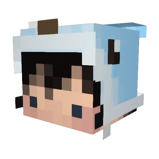 Naysixxx Minecraft avatar head, 3D render