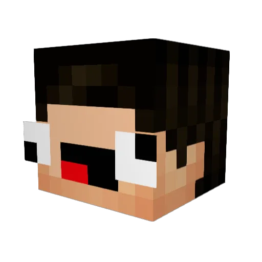 Nazalath Minecraft avatar head, 3D render