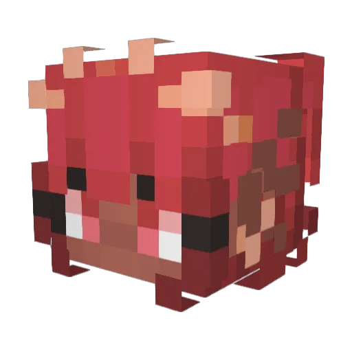 Nazar69 Minecraft avatar head, 3D render