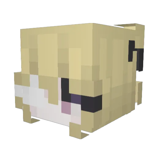 Nazarenx Minecraft avatar head, 3D render