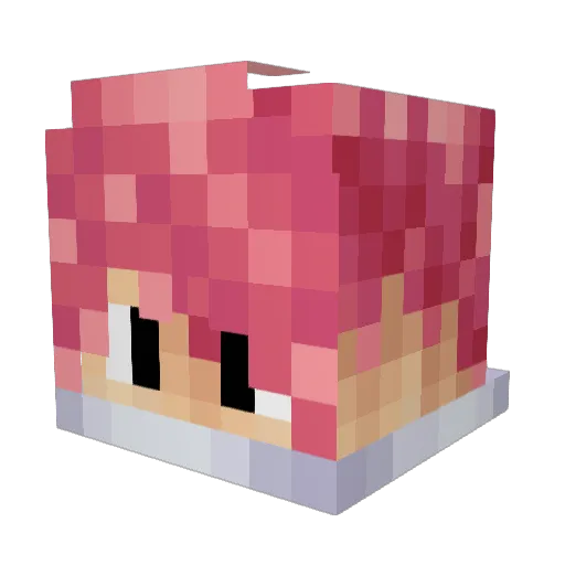 Nazdrallabait Minecraft avatar head, 3D render