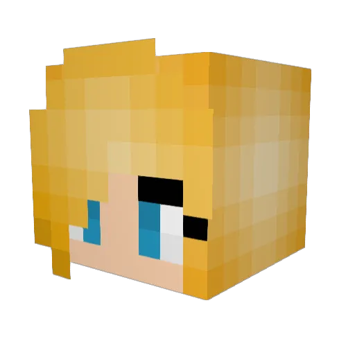 Nbc6000 Minecraft avatar head, 3D render