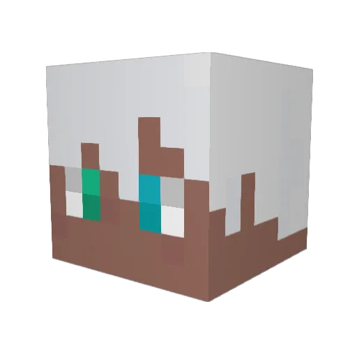 Nboshi2023 Minecraft avatar head, 3D render