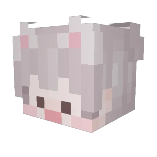 Nboys_ Minecraft avatar head, 3D render