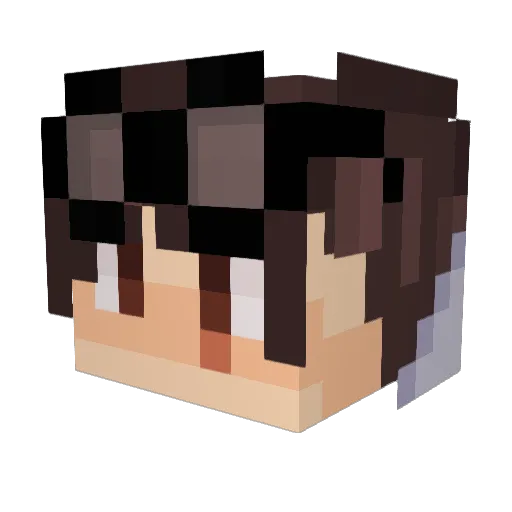 Nboyyy Minecraft avatar head, 3D render