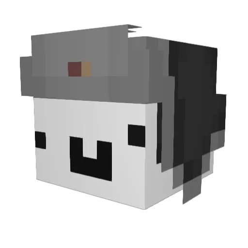 Nbushz Minecraft avatar head, 3D render
