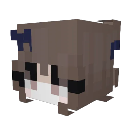 Ncey_ Minecraft avatar head, 3D render