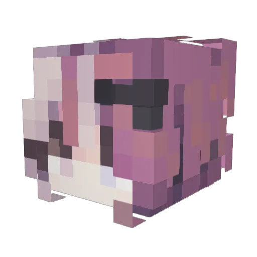NclRnr Minecraft avatar head, 3D render