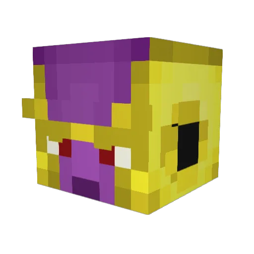 Ncoo1234 Minecraft avatar head, 3D render