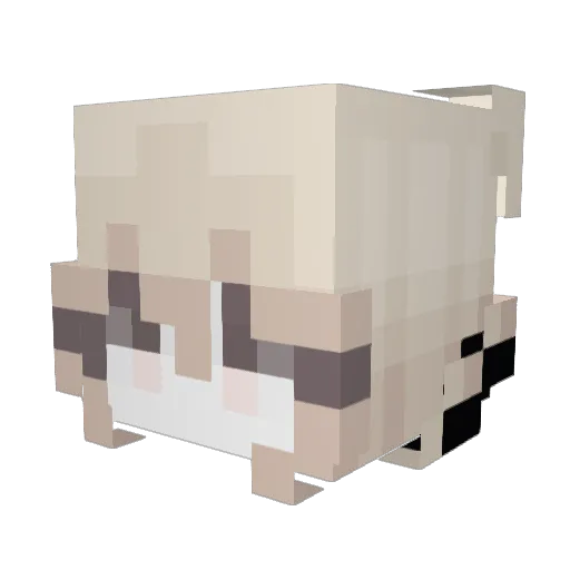 Ncxius Minecraft avatar head, 3D render
