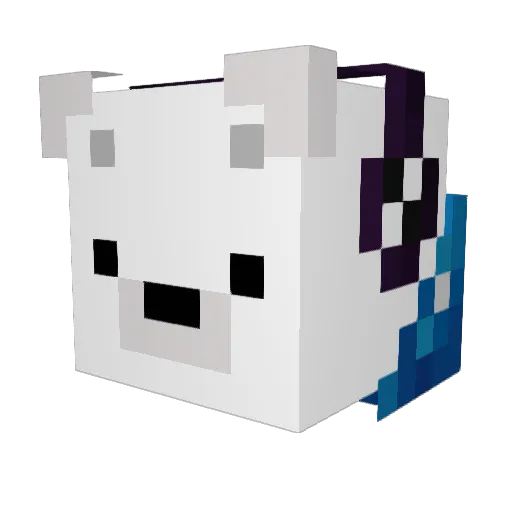 Ndogger444 Minecraft avatar head, 3D render