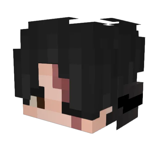 Ndrn1 Minecraft avatar head, 3D render