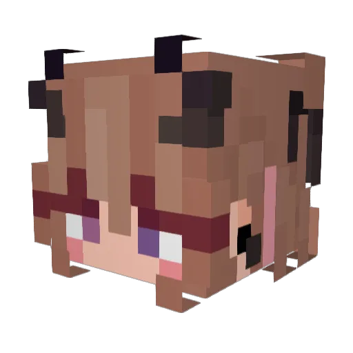 Ndscy12 Minecraft avatar head, 3D render