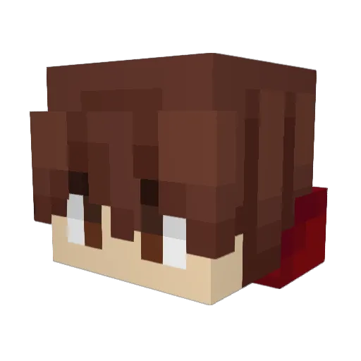 NdvS Minecraft avatar head, 3D render