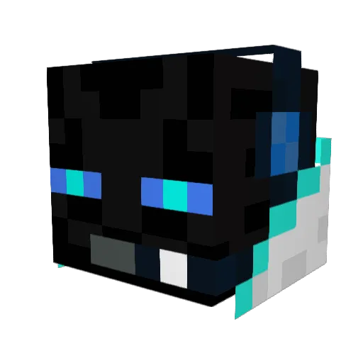 Ne0Blaze Minecraft avatar head, 3D render