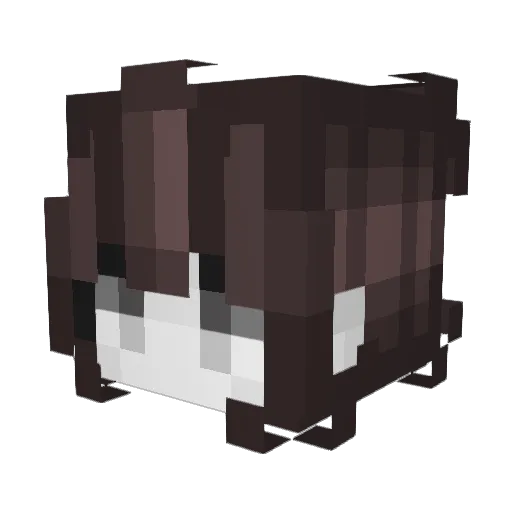 Ne1Fabi_ Minecraft avatar head, 3D render