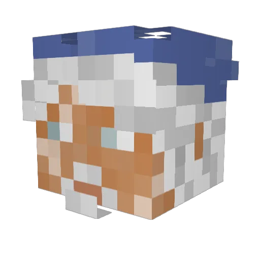 Ne1gh6 Minecraft avatar head, 3D render