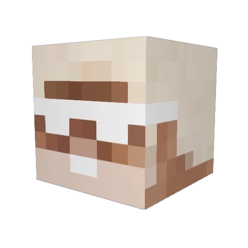 Ne3six Minecraft avatar head, 3D render