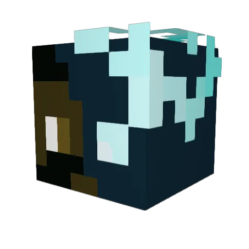Ne6At1vE Minecraft avatar head, 3D render