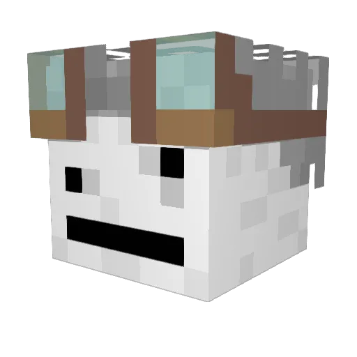 NeDanya_ Minecraft avatar head, 3D render