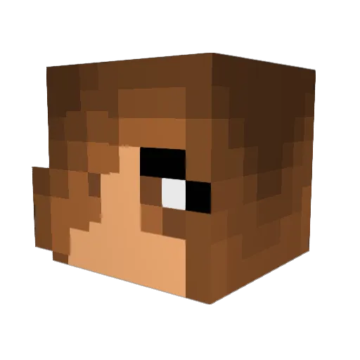 NeGaTiiVeZ3R0 Minecraft avatar head, 3D render