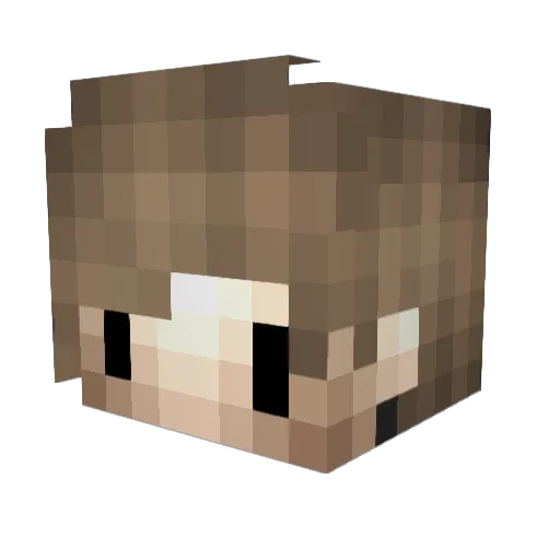NeHome Minecraft avatar head, 3D render