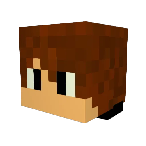 NeItRoN666 Minecraft avatar head, 3D render