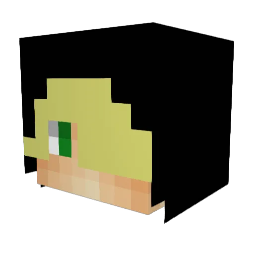 NeKroWs Minecraft avatar head, 3D render