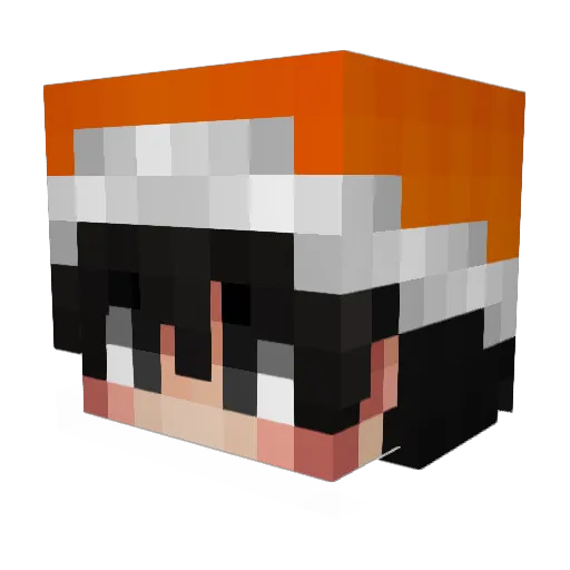 NeLeg1tniyDoge Minecraft avatar head, 3D render